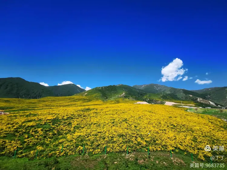 风景美如画——黄草坪